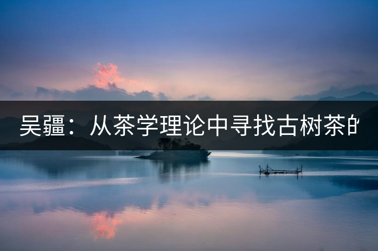 吳疆：從茶學(xué)理論中尋找古樹(shù)茶的鑒別方法？（讀書(shū)筆記3）