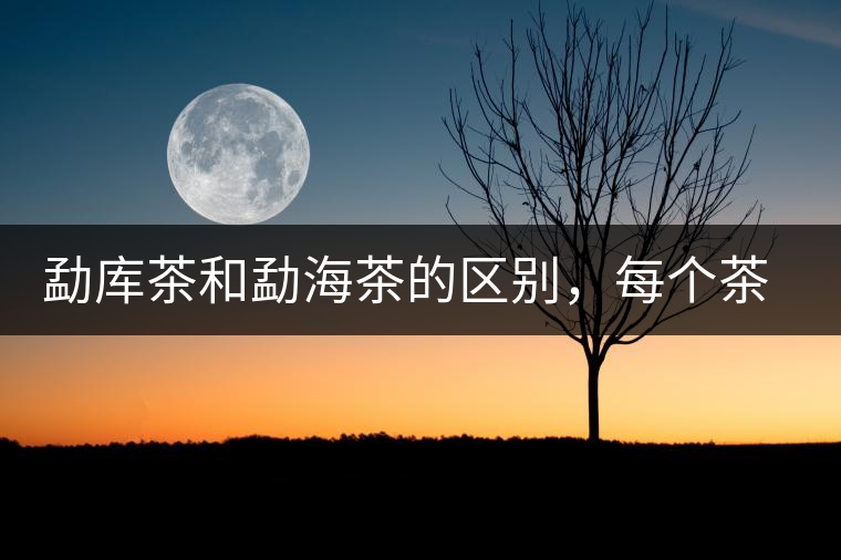 勐庫茶和勐海茶的區(qū)別，每個(gè)茶友都該了解的選茶常識(shí)！