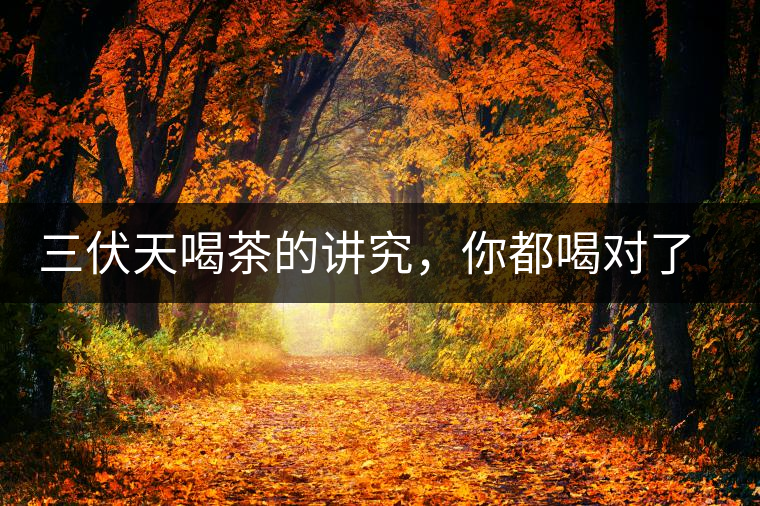 三伏天喝茶的講究，你都喝對了嗎？