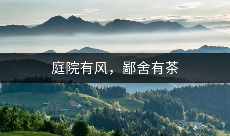 庭院有風(fēng)，鄙舍有茶
