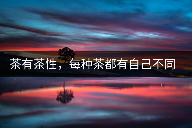 茶有茶性，每種茶都有自己不同的正確泡法