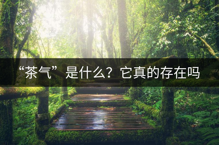 “茶氣”是什么？它真的存在嗎？