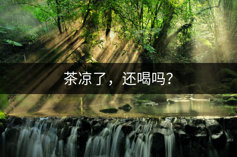 茶涼了，還喝嗎？