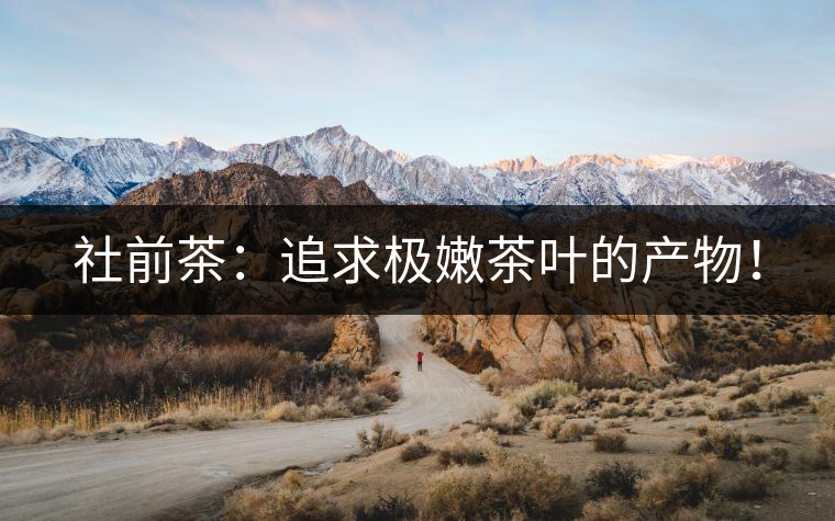 社前茶：追求極嫩茶葉的產(chǎn)物！