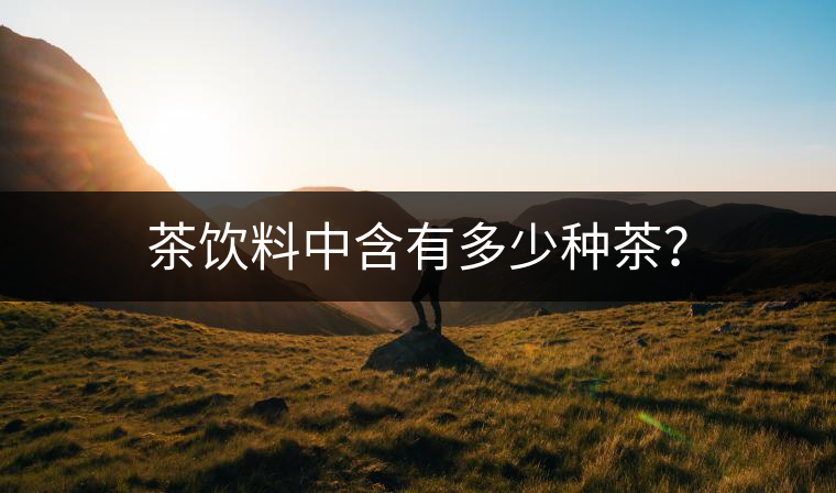 茶飲料中含有多少種茶？
