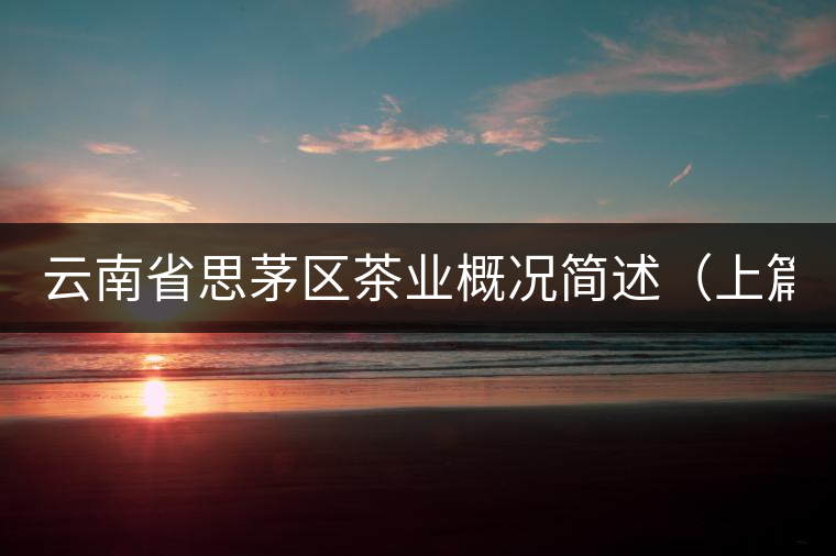 云南省思茅區(qū)茶業(yè)概況簡(jiǎn)述（上篇）