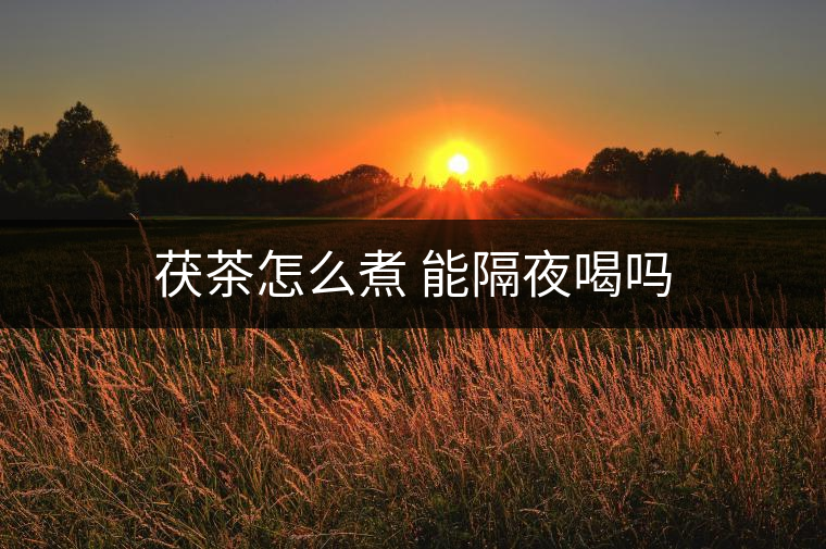 茯茶怎么煮 能隔夜喝嗎 茯茶怎么煮 能隔夜喝嗎