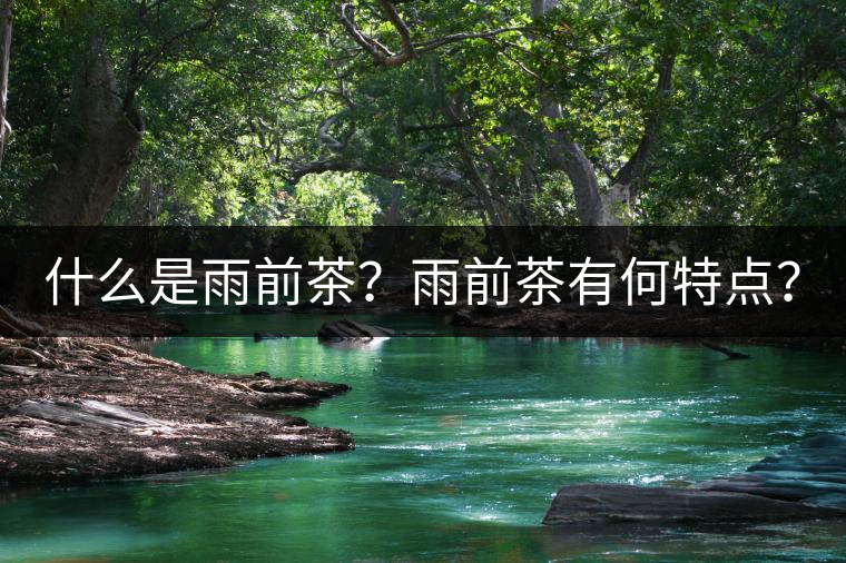 什么是雨前茶？雨前茶有何特點？