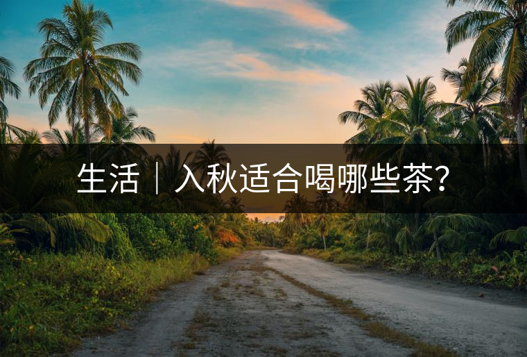 生活｜入秋適合喝哪些茶？