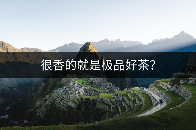 很香的就是極品好茶？