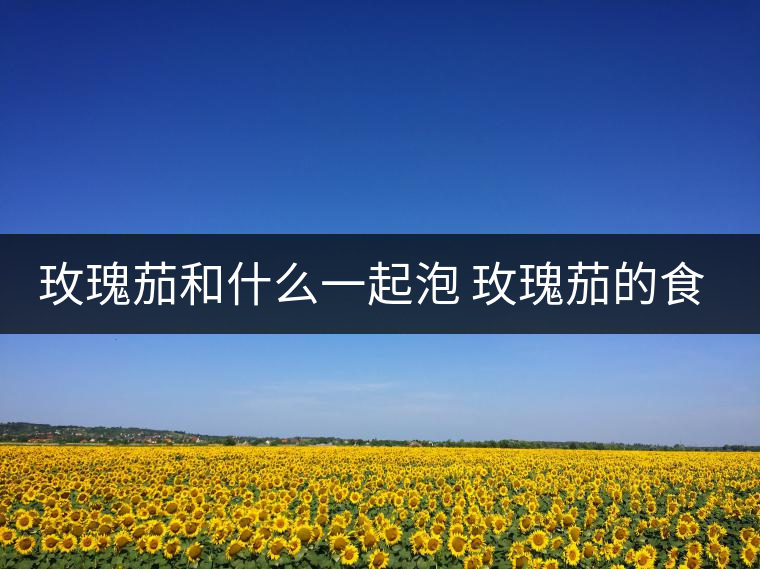 玫瑰茄和什么一起泡 玫瑰茄的食用方法