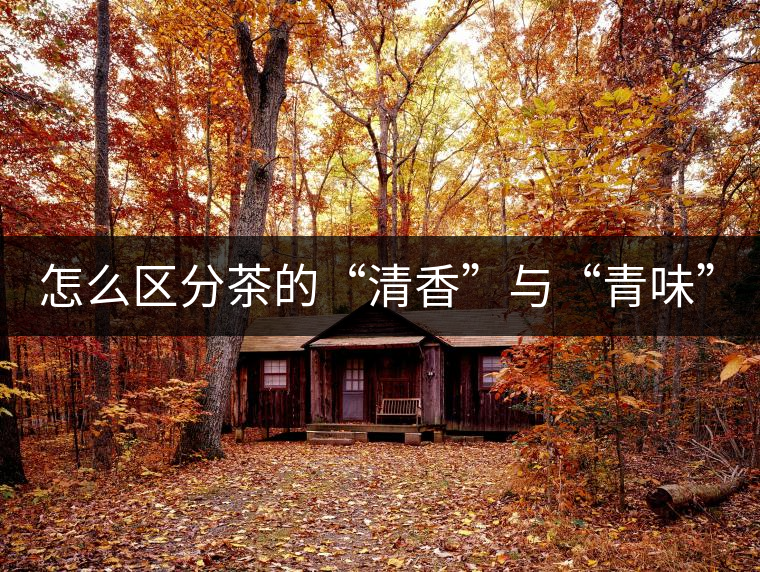 怎么區(qū)分茶的“清香”與“青味”？