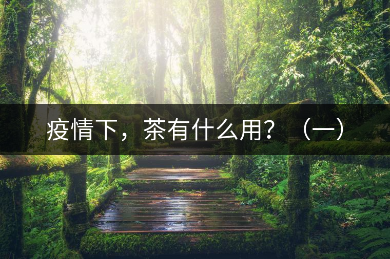 疫情下，茶有什么用？（一）