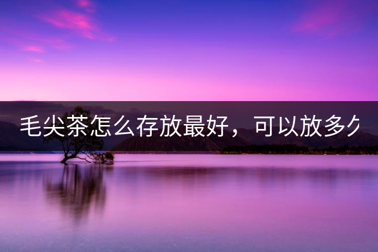 毛尖茶怎么存放最好，可以放多久？