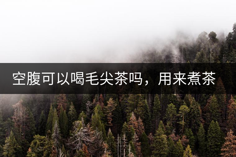 空腹可以喝毛尖茶嗎，用來煮茶葉蛋怎么樣？