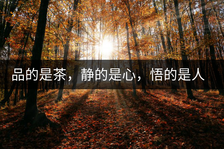 品的是茶，靜的是心，悟的是人生，滌的是靈魂