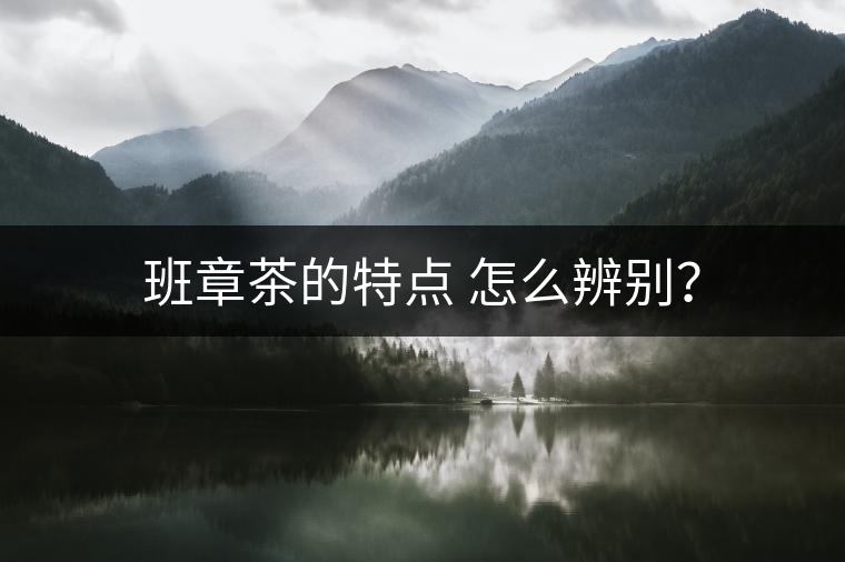 班章茶的特點(diǎn) 怎么辨別？