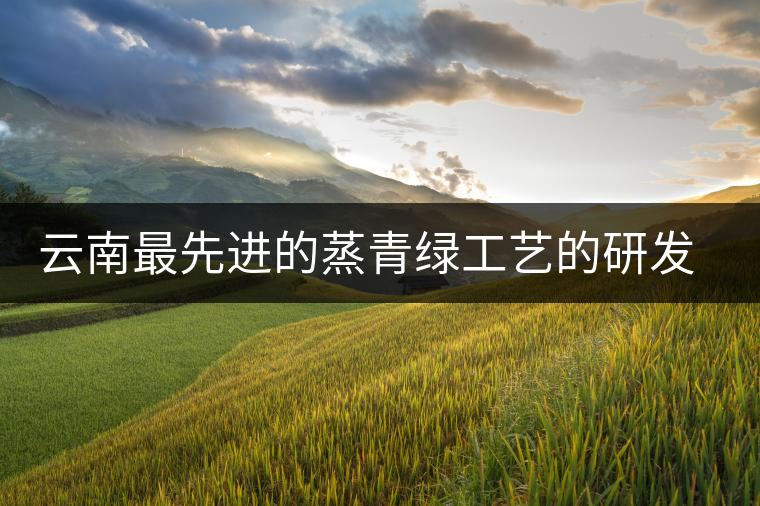 云南最先進(jìn)的蒸青綠工藝的研發(fā)者是誰(shuí)？