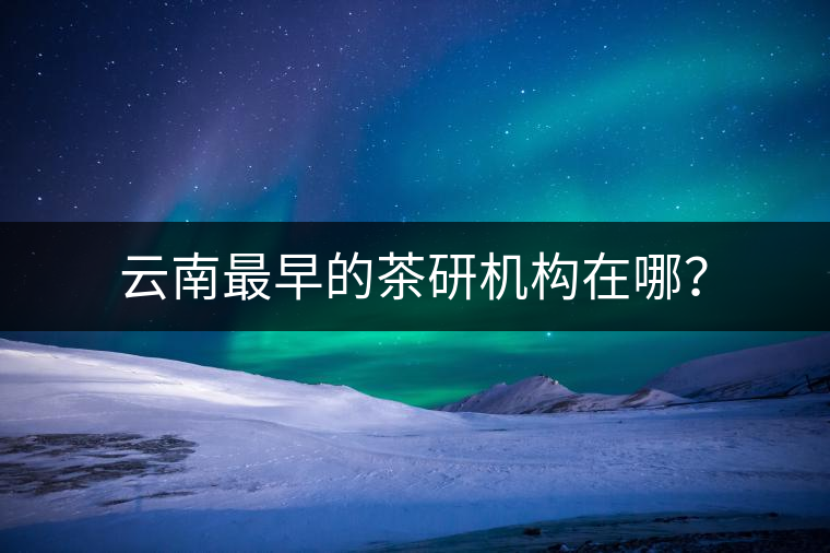 云南最早的茶研機構(gòu)在哪？