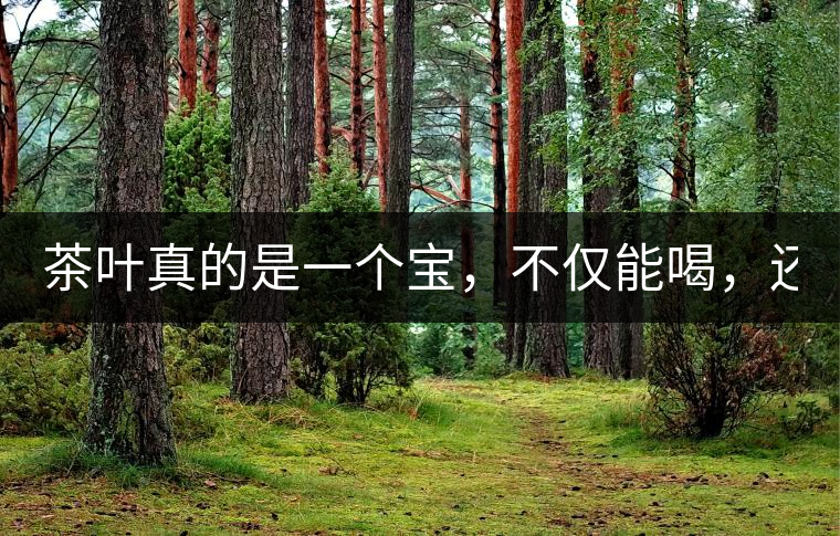 茶葉真的是一個(gè)寶，不僅能喝，還能用！