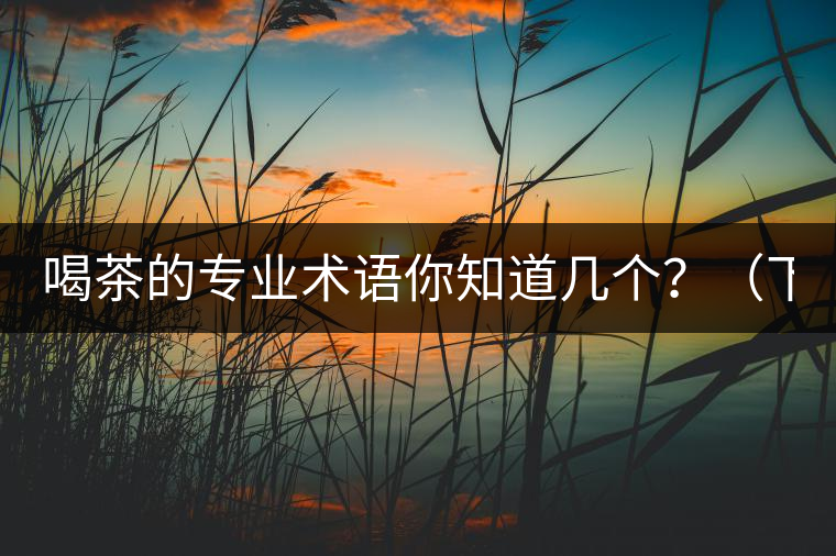 喝茶的專業(yè)術(shù)語(yǔ)你知道幾個(gè)？（下篇）