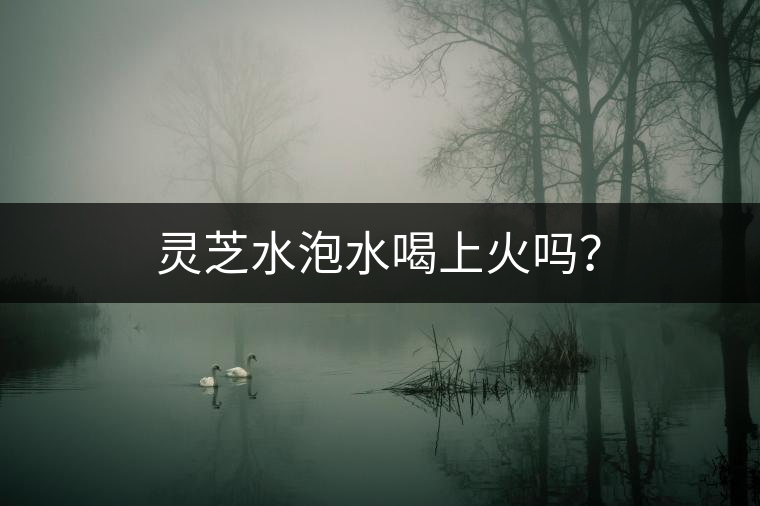 靈芝水泡水喝上火嗎？
