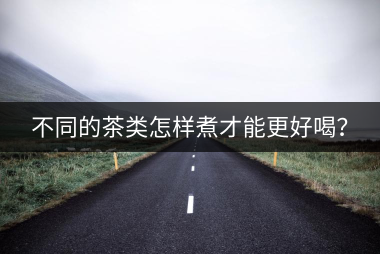 不同的茶類怎樣煮才能更好喝？