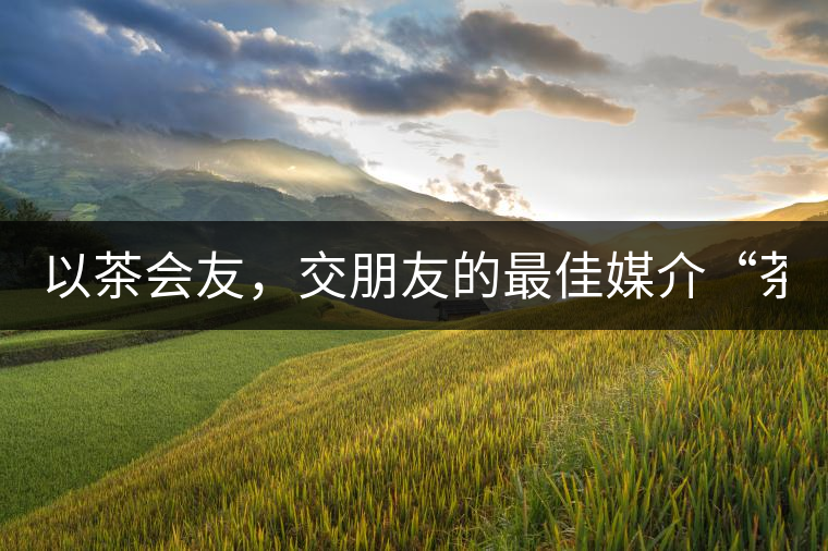 以茶會(huì)友，交朋友的最佳媒介“茶”！