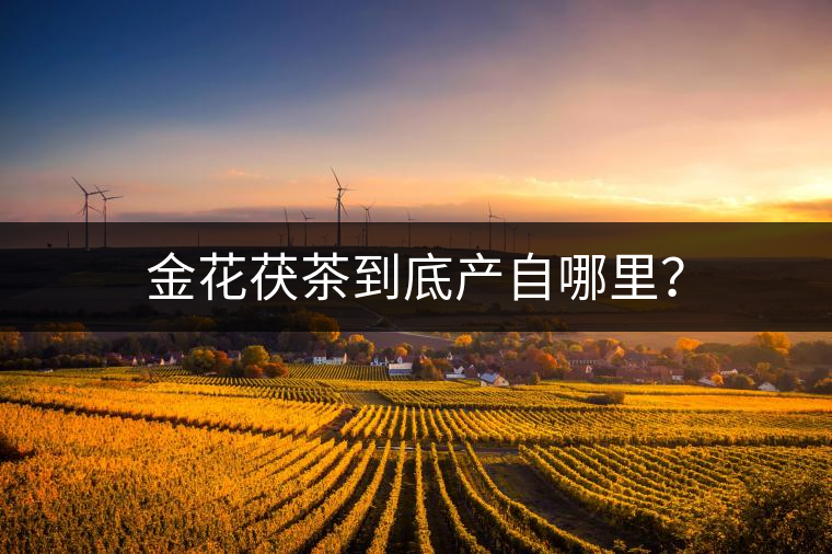 金花茯茶到底產自哪里？