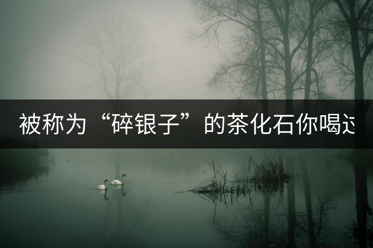 被稱為“碎銀子”的茶化石你喝過嗎？