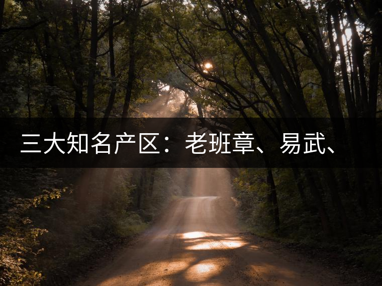 三大知名產(chǎn)區(qū)：老班章、易武、景邁三大茶系都有哪些特點(diǎn)！