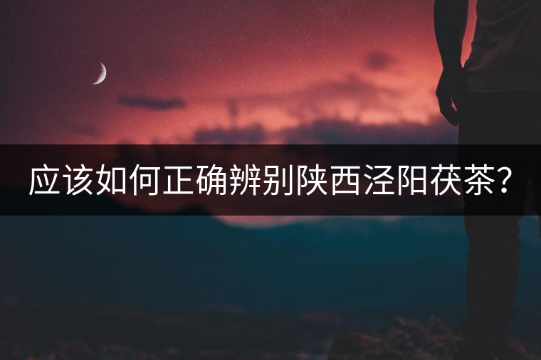 應該如何正確辨別陜西涇陽茯茶？