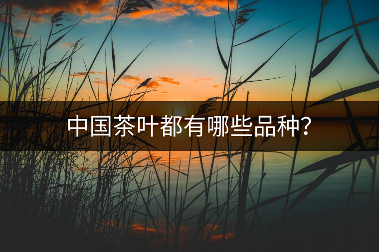 中國茶葉都有哪些品種？