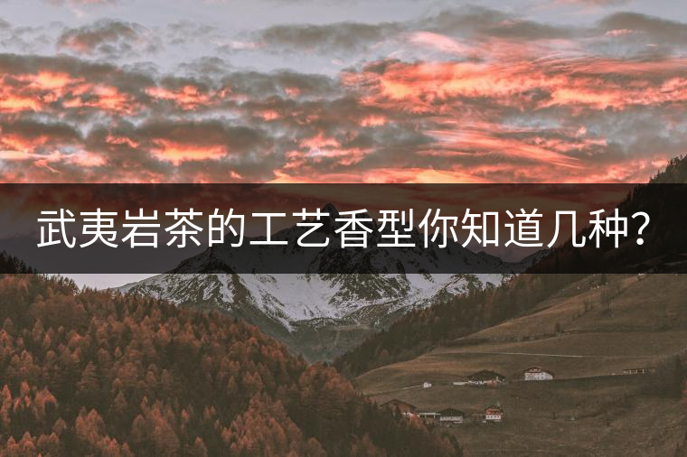 武夷巖茶的工藝香型你知道幾種？