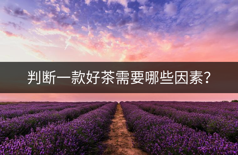 判斷一款好茶需要哪些因素？