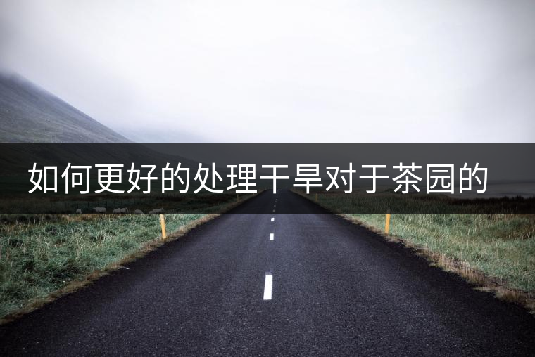 如何更好的處理干旱對于茶園的影響？
