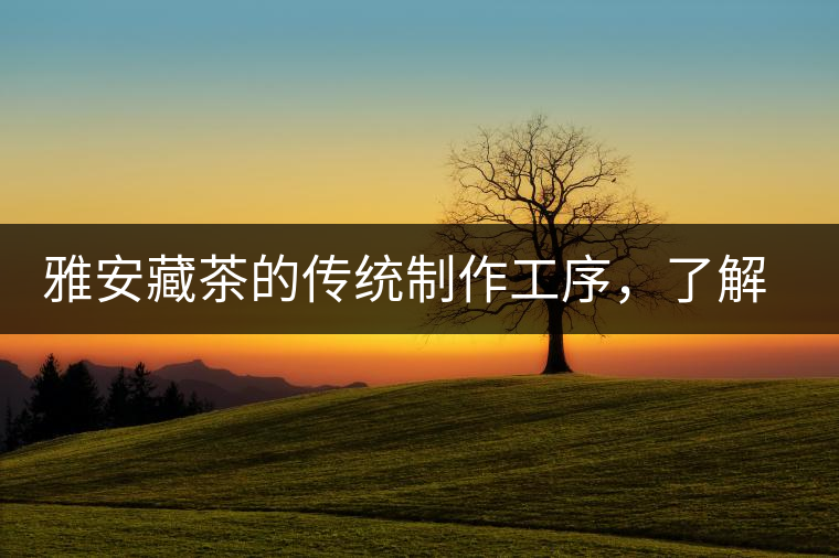 雅安藏茶的傳統(tǒng)制作工序，了解了傳統(tǒng)技藝才能更好的了解茶品！