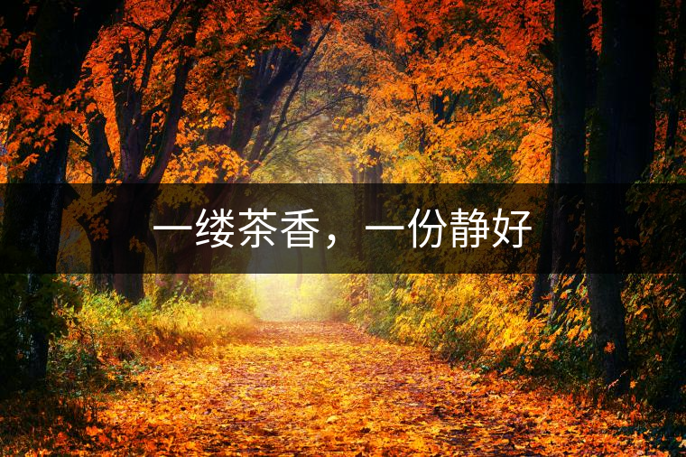 一縷茶香，一份靜好