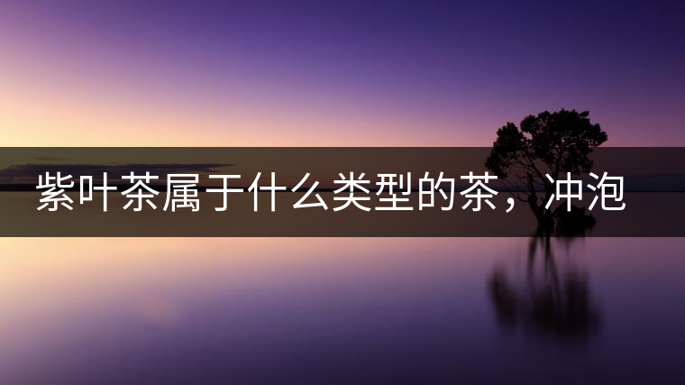 紫葉茶屬于什么類型的茶，沖泡需要注意什么？