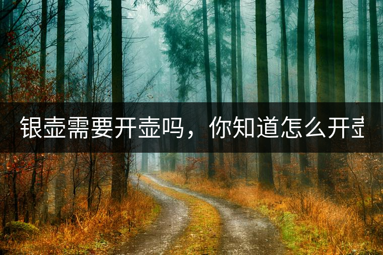 銀壺需要開(kāi)壺嗎，你知道怎么開(kāi)壺？