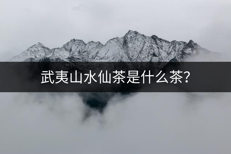 武夷山水仙茶是什么茶？