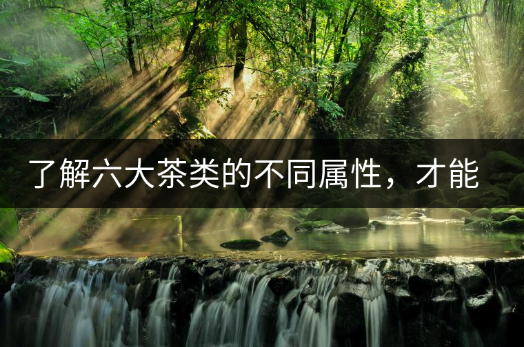 了解六大茶類的不同屬性，才能更好的選擇品飲！