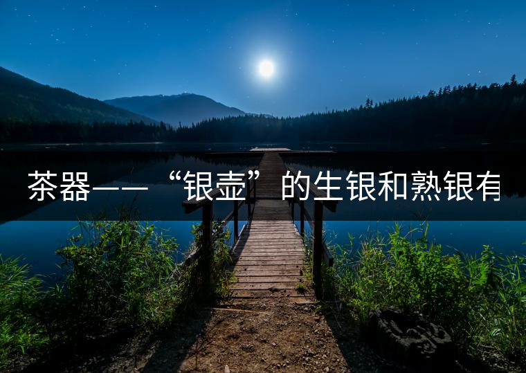 茶器——“銀壺”的生銀和熟銀有什么區(qū)別嗎？