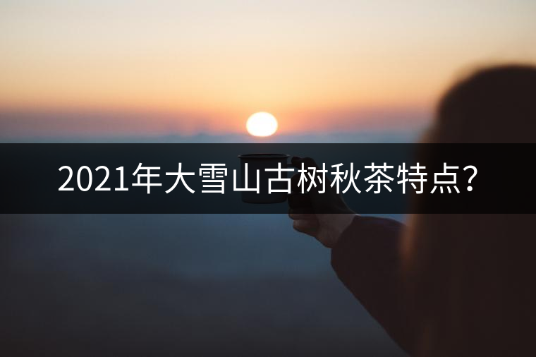 2021年大雪山古樹(shù)秋茶特點(diǎn)？