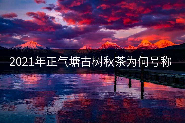 2021年正氣塘古樹秋茶為何號稱小冰島？