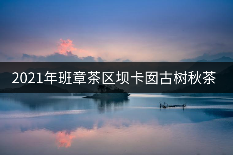 2021年班章茶區(qū)壩卡囡古樹秋茶口感？
