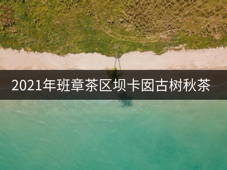 2021年班章茶區(qū)壩卡囡古樹秋茶多少錢一公斤？