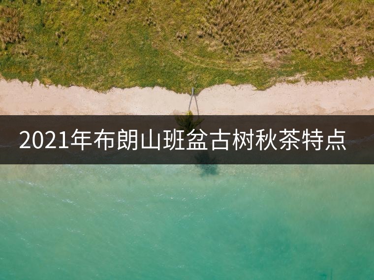 2021年布朗山班盆古樹秋茶特點(diǎn)? 2021年布朗山班盆古樹秋茶特點(diǎn)?