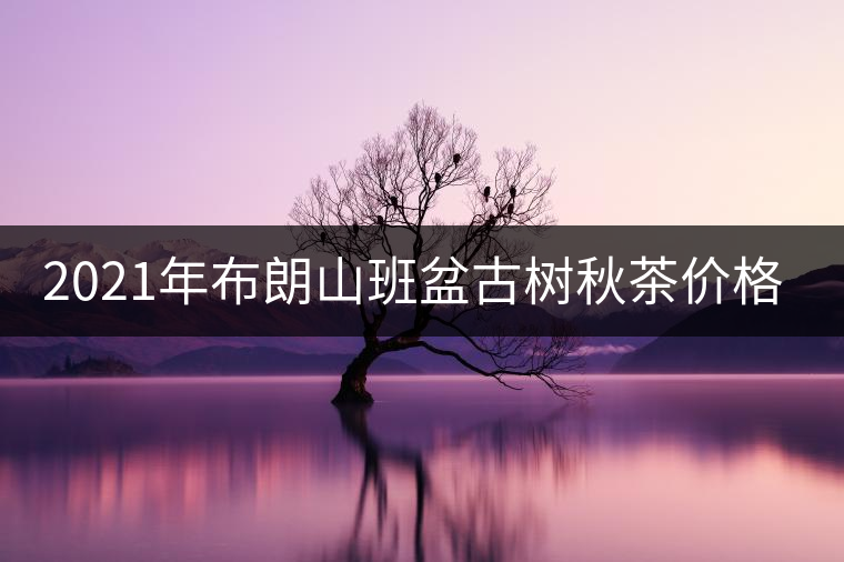 2021年布朗山班盆古樹秋茶價(jià)格？