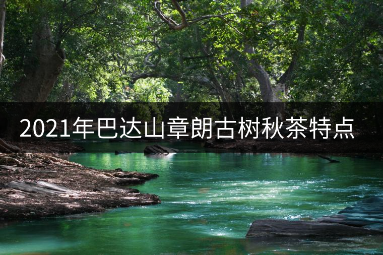 2021年巴達(dá)山章朗古樹秋茶特點(diǎn)？